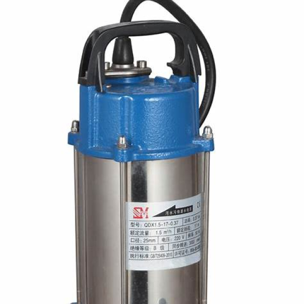 RR RR 0.5HP RR-CWSP400-SS Clean Water Submersible Pump